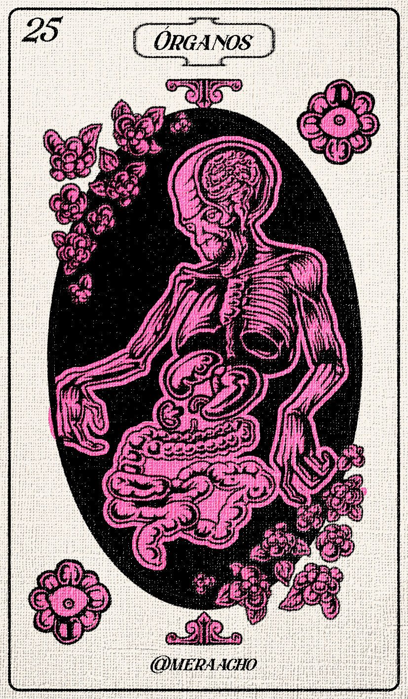 Ilustración 25 de Merachotober 2025